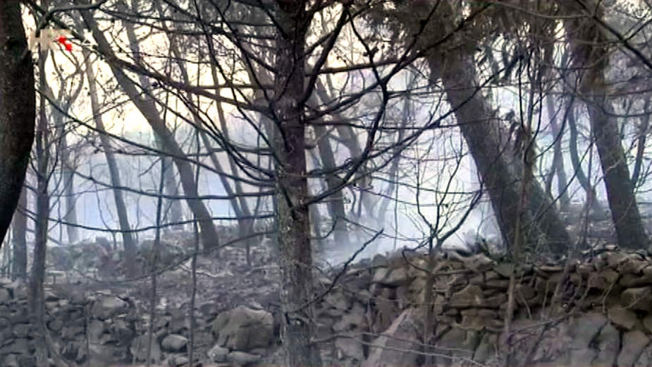 Požari u Crnoj Gori i Hrvatskoj, evakuacija u Tivtu 2 Požari u Crnoj Gori i Hrvatskoj, evakuacija u Tivtu 2