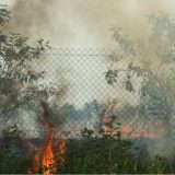 Treći, neizgrađeni golf teren u Srbiji sinoć u plamenu 6