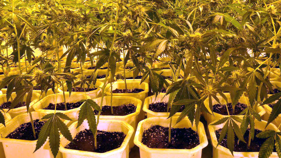 Akcija Ares: Uhapšeno još 213 osoba 1