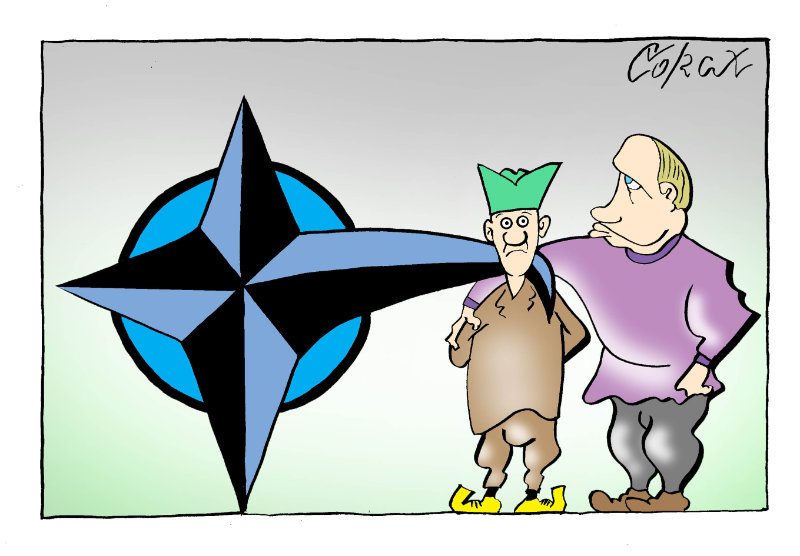 Corax 11