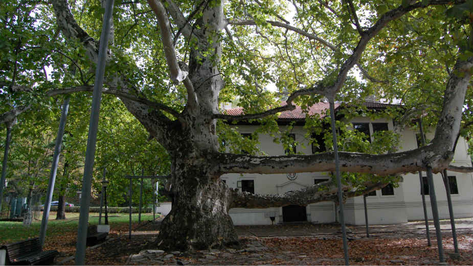 Topčider: Park u topdžijskoj dolini 1