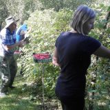 Loše vreme umanjilo prinose 2