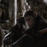 Filmski vodič od 13. do 19. jula 12