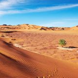 Poginulo 25 vojnika u gašenju požara u Alžiru   4