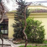 Amam kneza Miloša: Ostatak kneževog dvorskog kompleksa 6