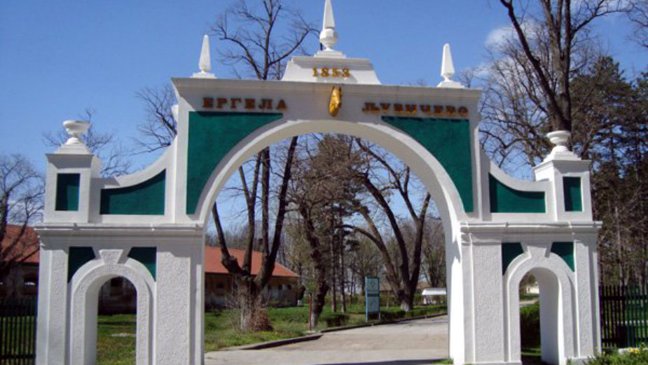 Otvoren Avantura park 1