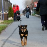 Koliko se doseli, toliko se i odseli iz Beograda 5