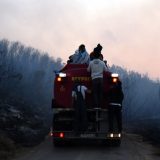 CG: Turista priznao da je izazvao požar 4