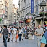 Kovačević: Na delu je "diznilendizacija" Beograda 11