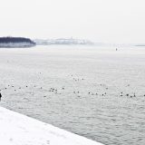 Zašto je zdravo reći ne? 9