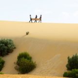 “Mamurni kumovi” od sutra u bioskopima 14