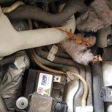 Granična policija uhapsila državljanina BiH sa 1.300 pištoljskih metaka 2