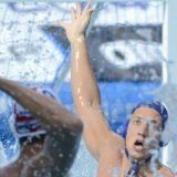 Na Dorćolu glazura za SP 12