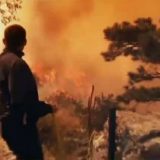 U požarima u Hrvatskoj izgorelo 4.500 hektara 4