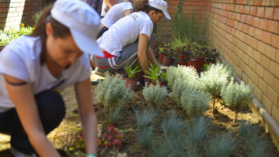 Volonteri uredili vrtić na Novom Beogradu 3