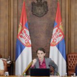 Vlada Srbije funkcioniše i kada su ministri na odmoru 5