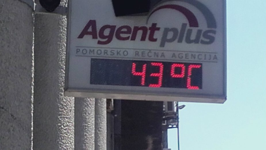 Hladovina najtraženija roba 3 Hladovina najtraženija roba 3