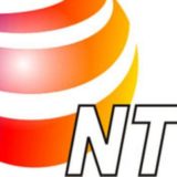 Privatizacija NTV pred Ustavnim sudom 2