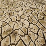 Šteta od suše oko milijardu dolara 7