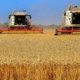 Stranci prečicom do poljoprivrednog zemljišta 1