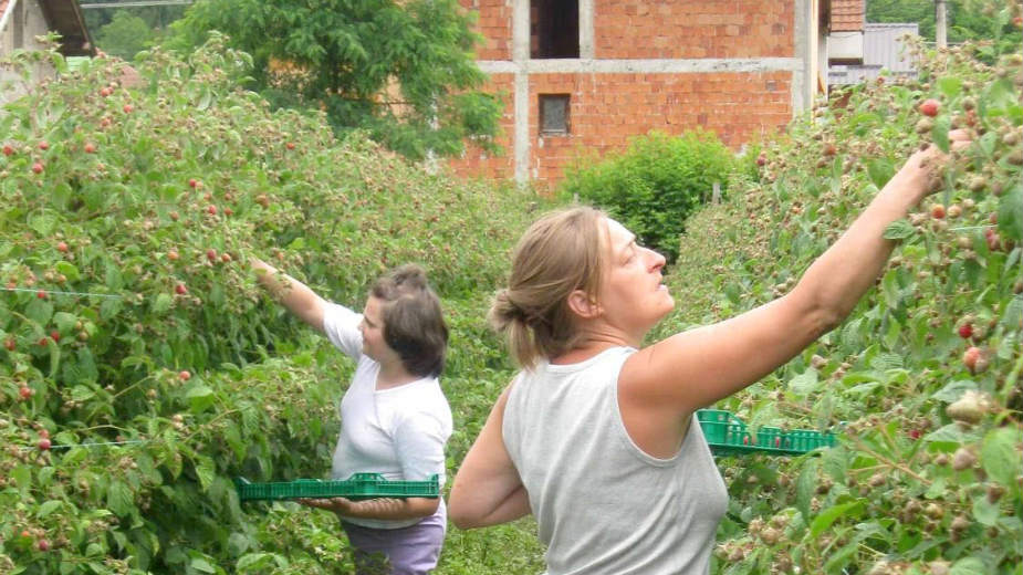 Rad na crno i sezonci "smanjili" nezaposlenost 1