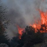 Helikopteri gase požar na području Trebinja 10