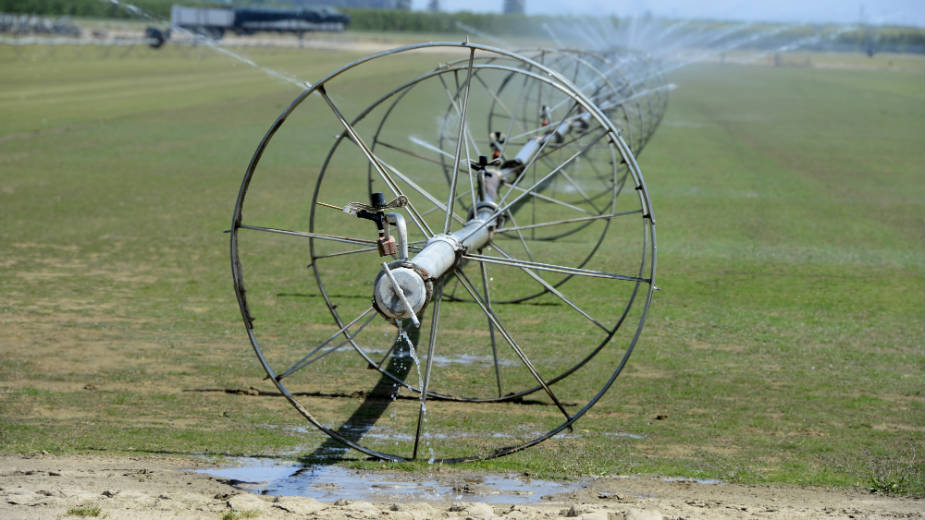 Zbog nemara države 24.000 hektara nema navodnjavanje 1