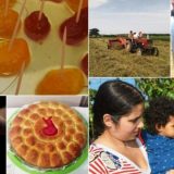 Zdravlje tela i duha 4