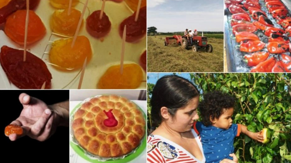 Zdravlje tela i duha 1