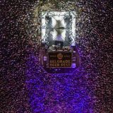 Na drugoj večeri Beer festa 130.000 ljudi 9