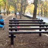 Otvaranje Trim-staze na Košutnjaku za nekoliko dana 11