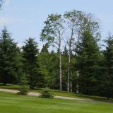 Kanada (1): U zemlji javorovog lista 12