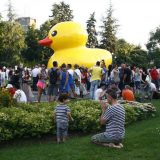 Bitka za novu opoziciju 3