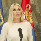 Popović Ivković: Srbija intenzivno radi na sistemu jačanja azila 9