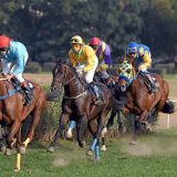 Nagrade za konjičke trke 8,1 milion 2