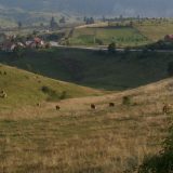 Ugroženo 3.000 grla stoke na Pešteru 5