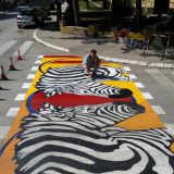 Zebra na Zebri 4