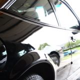 BIA rasprodaje automobile 2