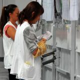 Puna hala radnika kada dođe Vučić 5