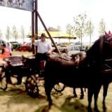 Održana 8. Fijakerijada u Smoljincu 2