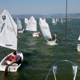 Kup Golupca pod senkom nevremena 11