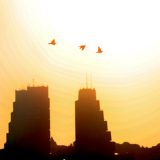 Vrućine do četvrtka - šta se savetuje tokom toplih dana? 11