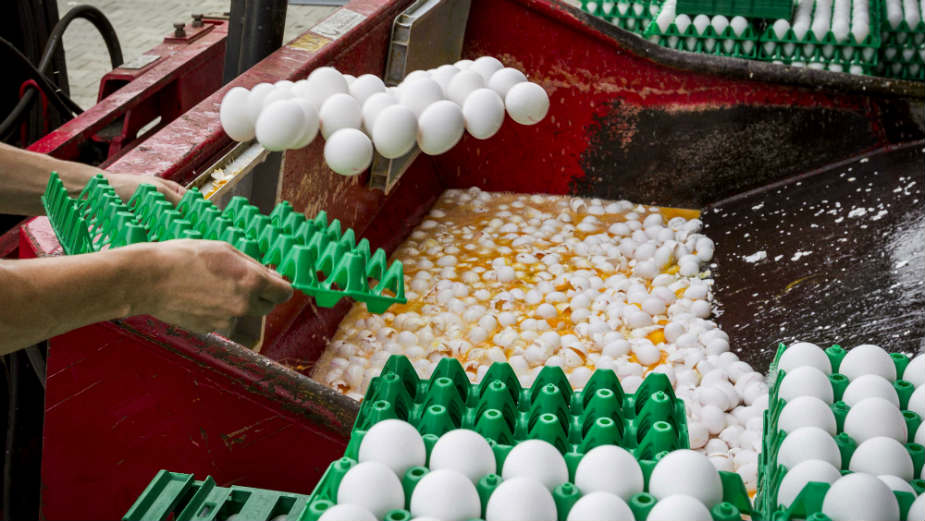 Ministri zemalja EU u septembru o jajima 1