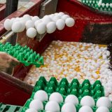 Ministarstvo: Srbija ne uvozi jaja iz Holandije 5