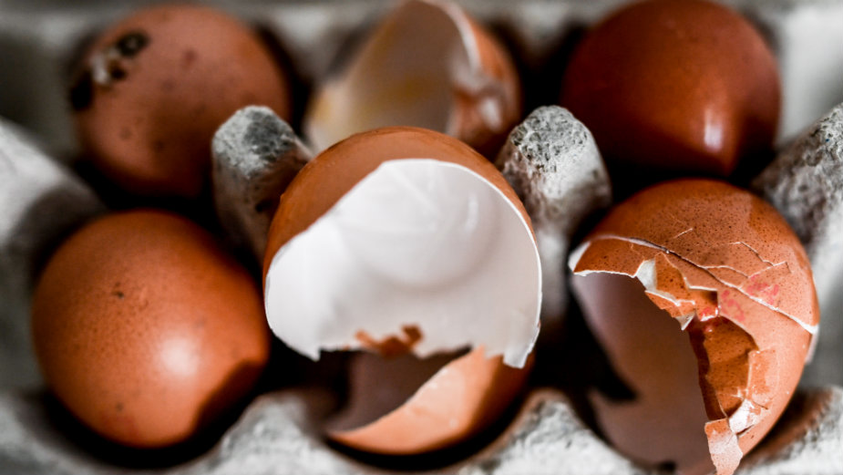 Kontaminirana jaja u 15 zemalja 1