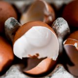 Zaražena jaja u sedam zemalja 6