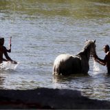 Vodostaj reka izuzetno nizak zbog suše 7