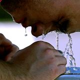 Hladovina najtraženija roba 10