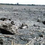Suša isušila najveće slano jezero u Srbiji 6