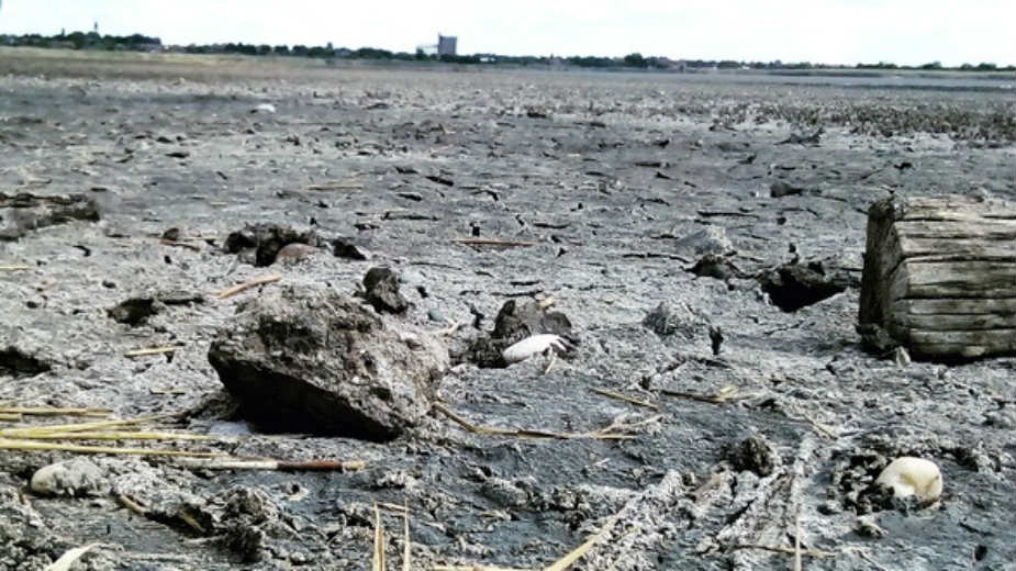 Suša isušila najveće slano jezero u Srbiji 1